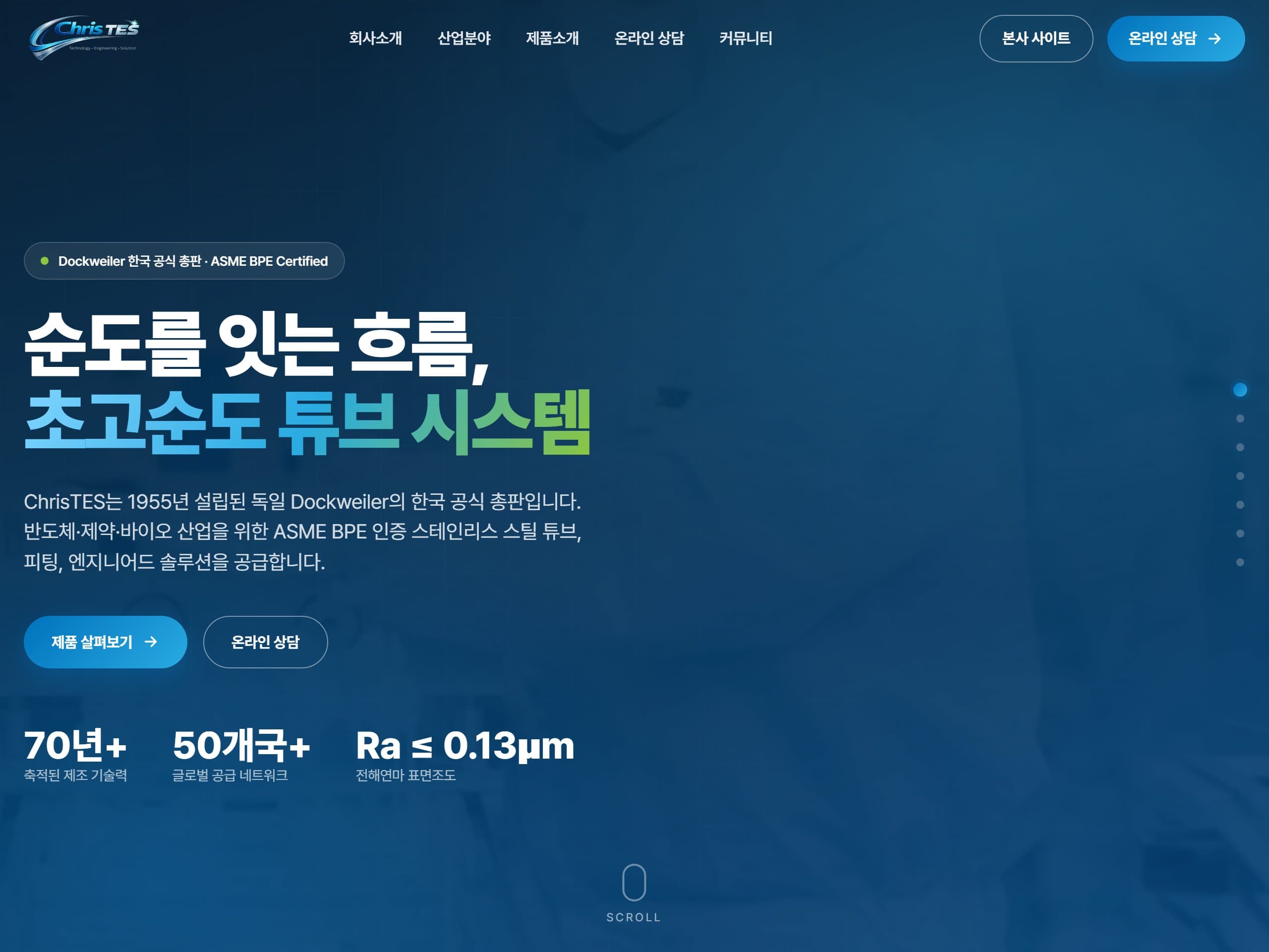 크리스테스 (ChrisTES) 기업 홈페이지 작업 화면
